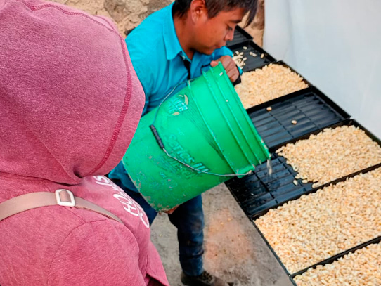 Altosano Granjas Carroll capacita para alimentar a pequeñas especies en el estiaje