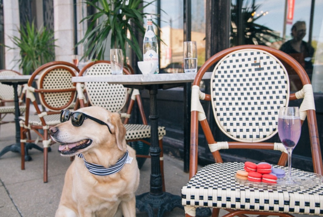 A estos restaurantes de Puebla podrás ir con tu mejor amigo, tu mascota