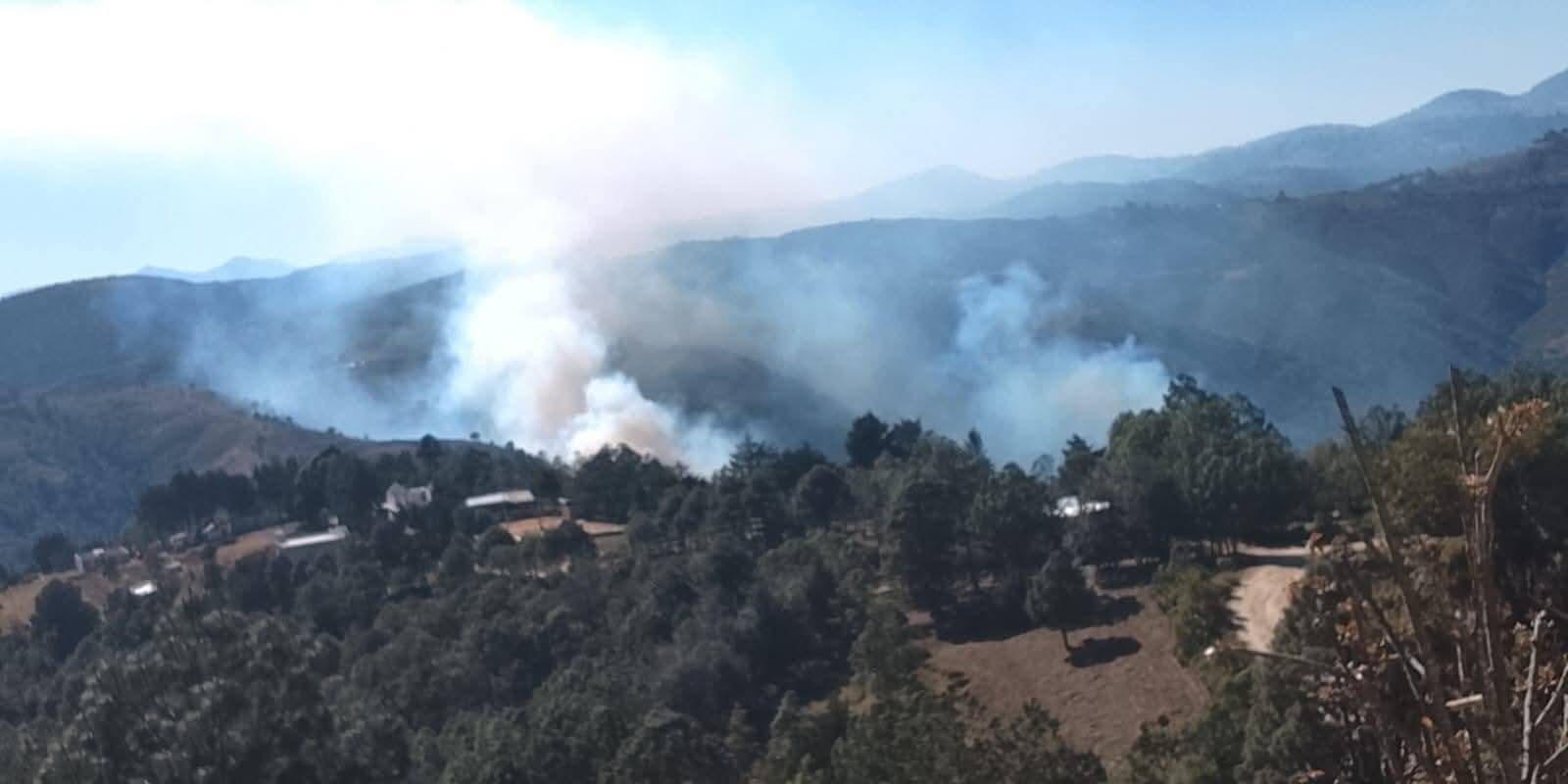 Continúa combate a incendio forestal en Vicente Guerrero; refuerzan brigadas
