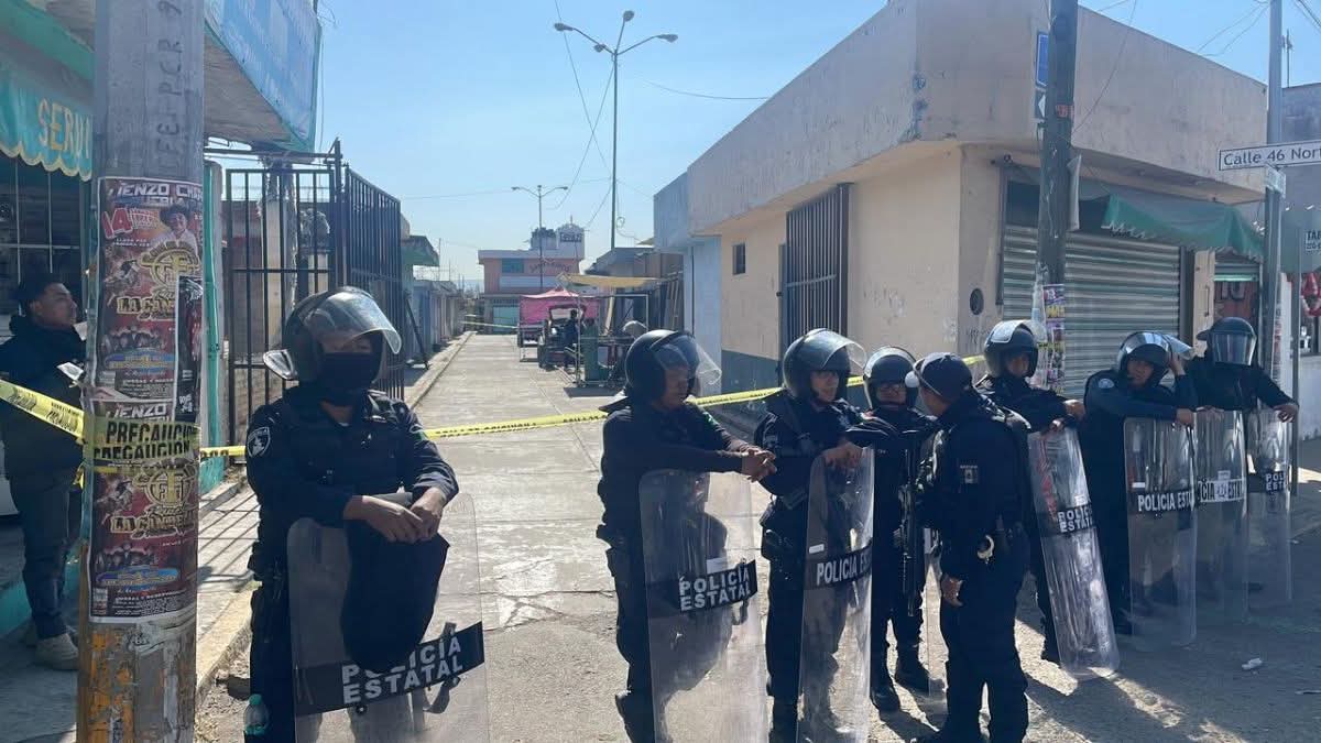 FGE localiza restos óseos durante cateos en el mercado Morelos