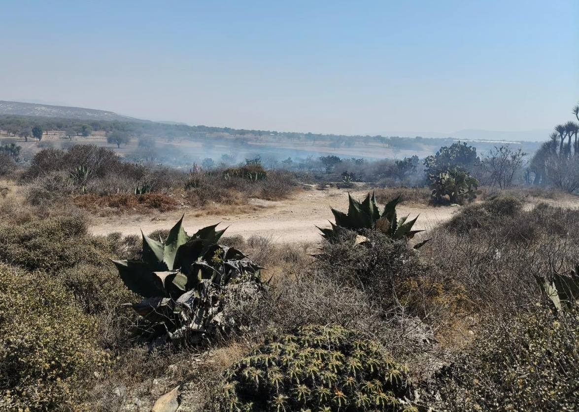 Controlan incendio forestal en Tepanco de López 