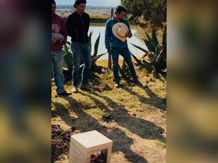 Memoria que galopa en libertad: nace en Cuacolandia un santuario eterno 