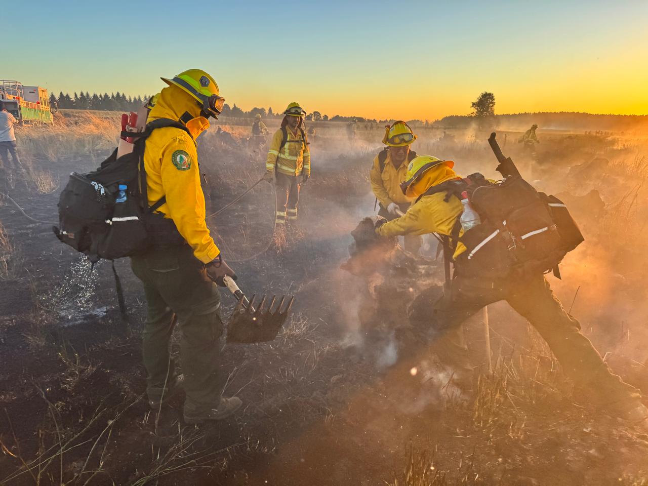 Brigadas mexicanas avanzan en el combate y liquidación de incendios forestales en Chile