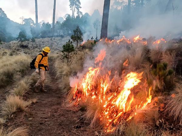 En una semana gobierno del estado sofoca 38 incendios forestales