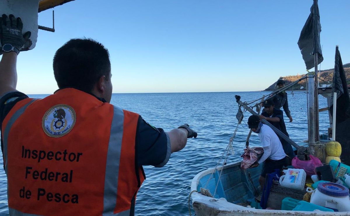 En Islas Marías, Marina retiene embarcación por violar restricción de pesca
