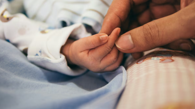 Epstein, vientres de alquiler: el paraíso mexicano para los abusadores