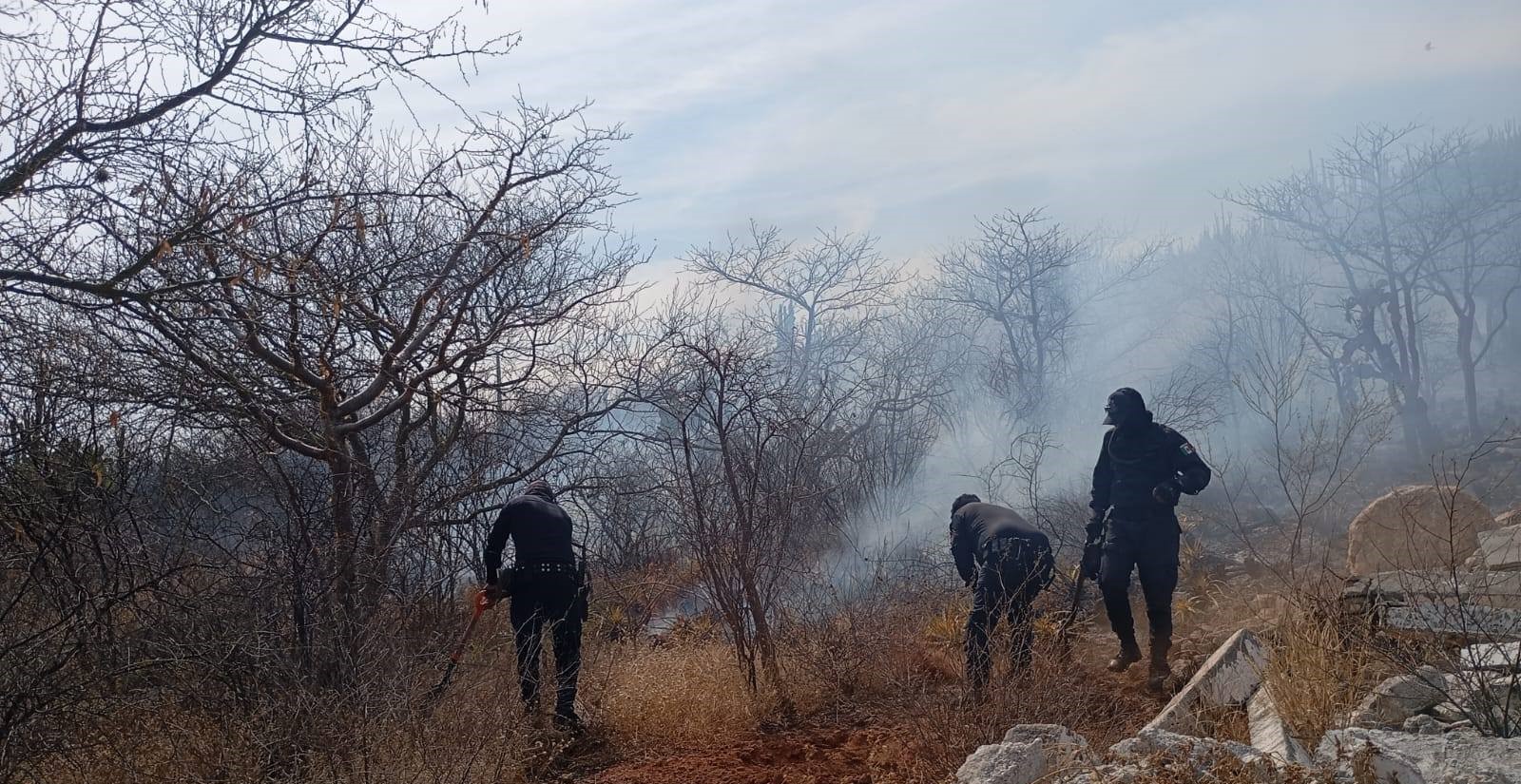 Cuatro incendios de pastizal movilizan a cuerpos de emergencia en Tepeaca