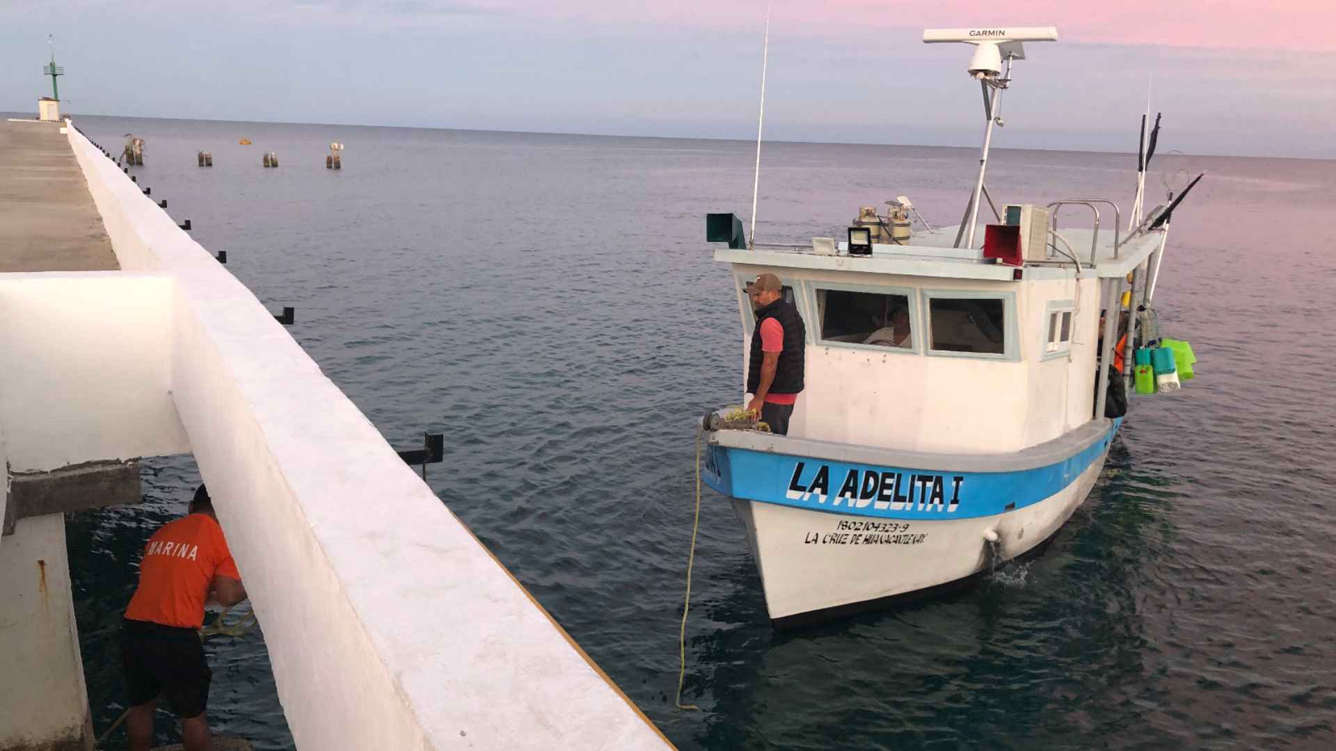 Marina asegura en Islas Marías embarcación con 130 kilos de tiburón