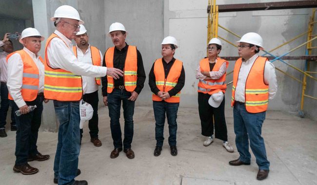 Avanza al 55% en Chiapas cepa mexicana de mosca estéril del gusano barrenador