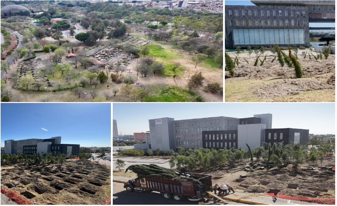 Inicia reforestación urbana en CIS y Parque Ecológico; la meta son 10 mil árboles