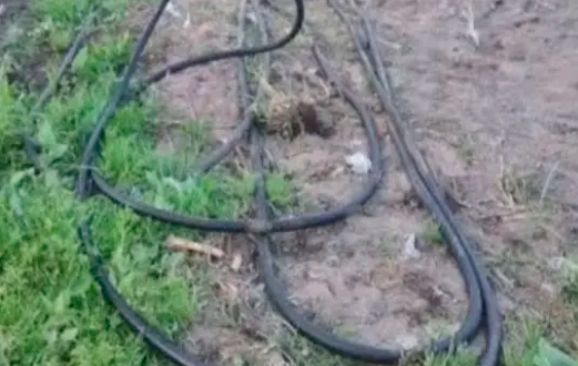 Personal de Pemex halla toma clandestina de Gas LP en El Verde