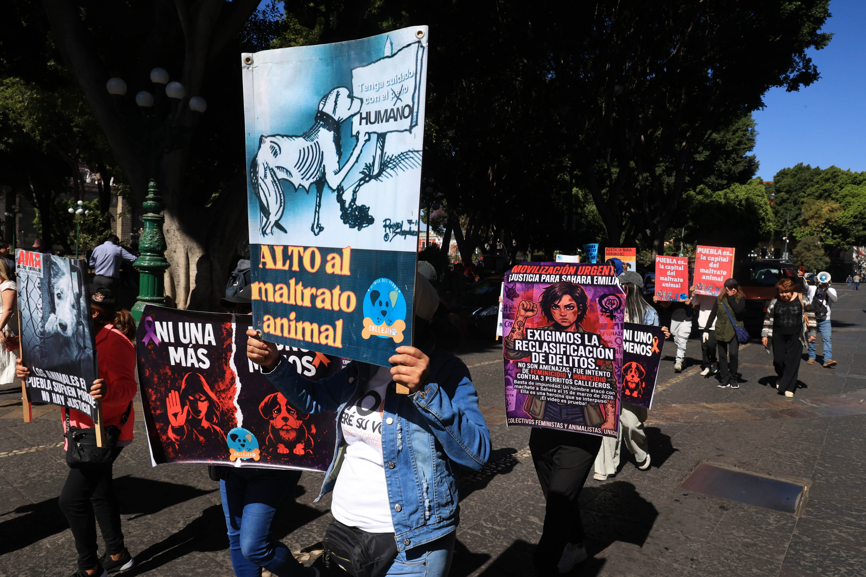 VIDEO Se registra marcha en favor de Sahara, atacada en Puebla con un machete