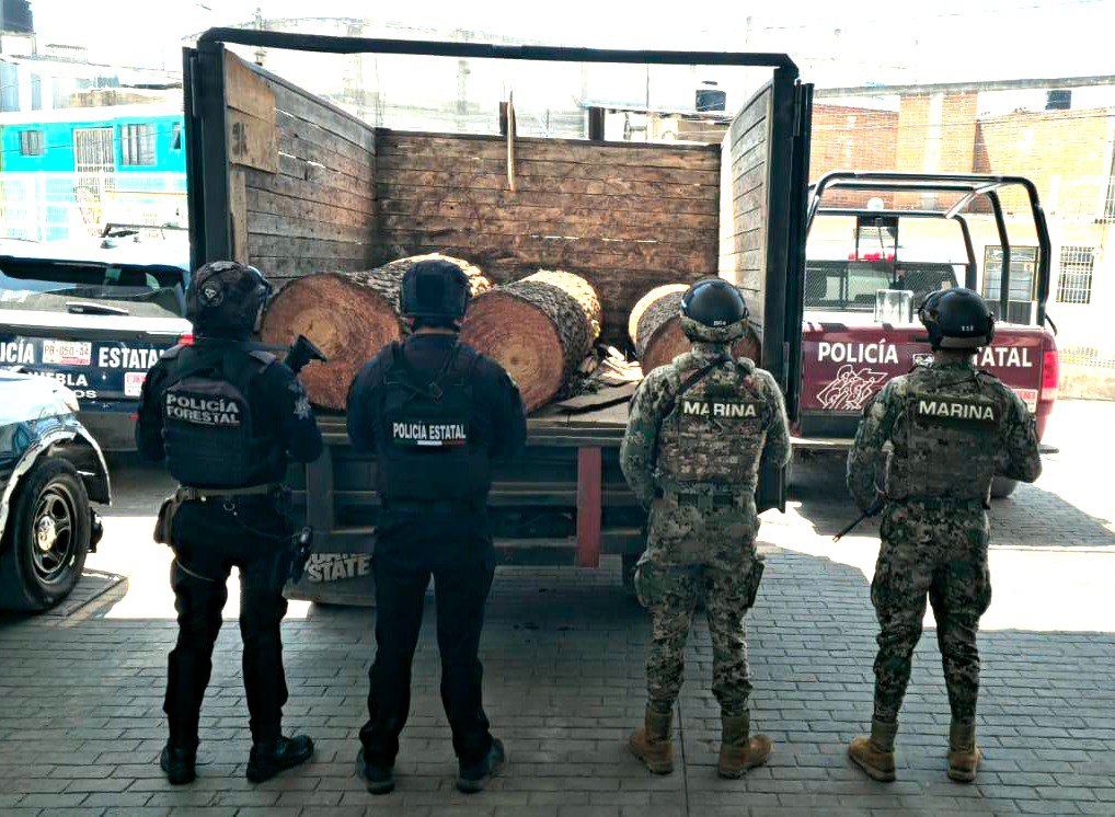 Aseguran camioneta con troncos de pino en San Felipe Teotlancingo 