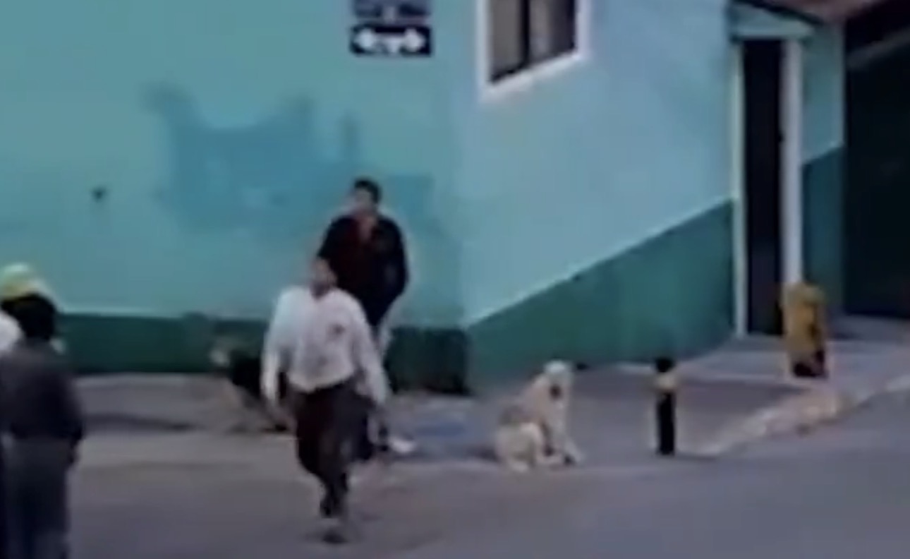 Mujer es herida con machete al evitar agresión canina en San Jerónimo Caleras 
