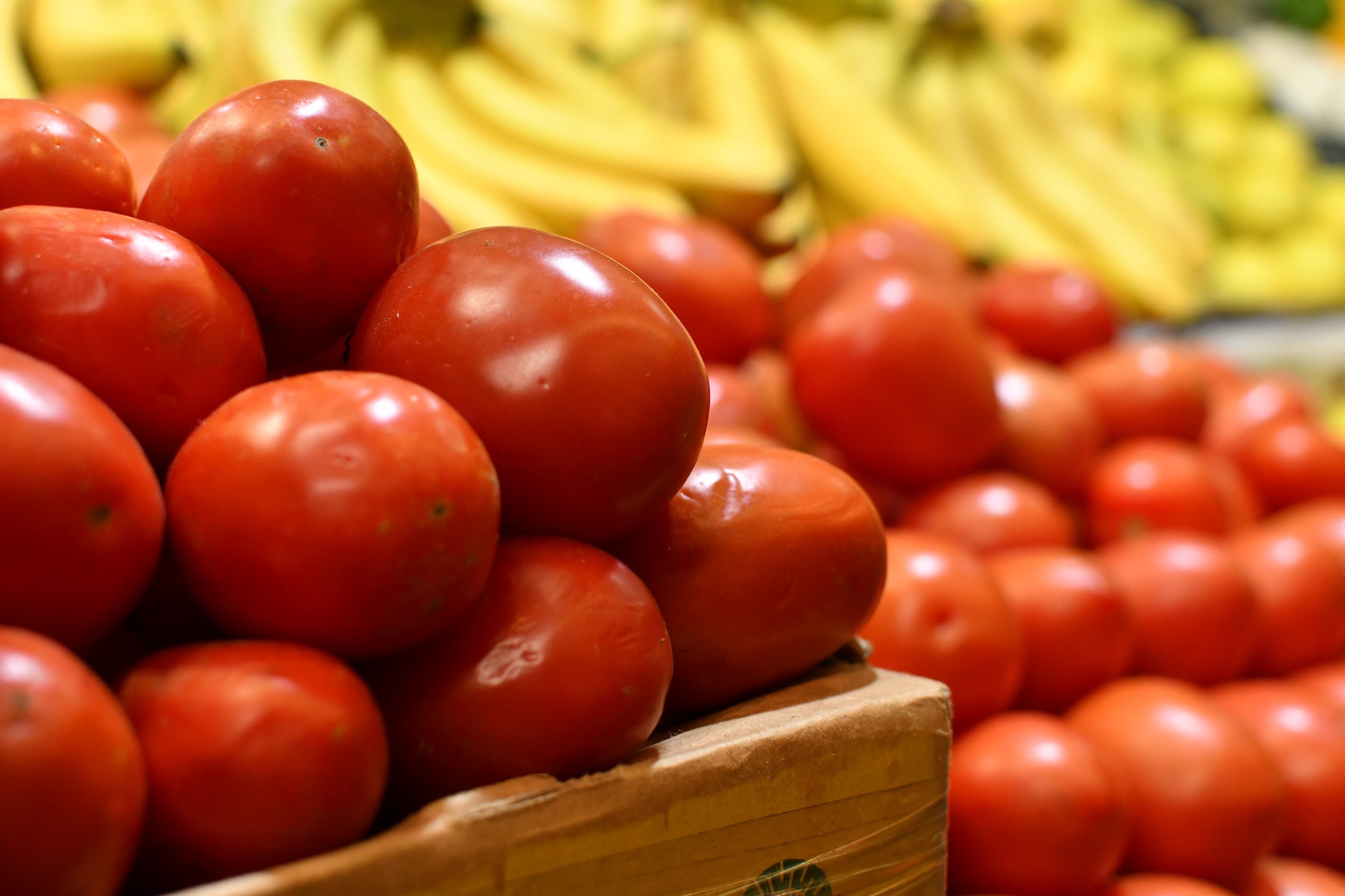 Hasta 60 pesos el kilo de jitomate en México