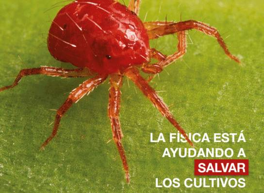 Proponen en la BUAP utilizar la Física para proteger cultivos prioritarios