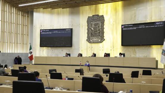 Desaparece Instituto Animal en Puebla: aprueban traslado al DIF Estatal 