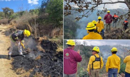 Ante incremento de incendios en 2026, gobierno estatal intensifica acciones de combate