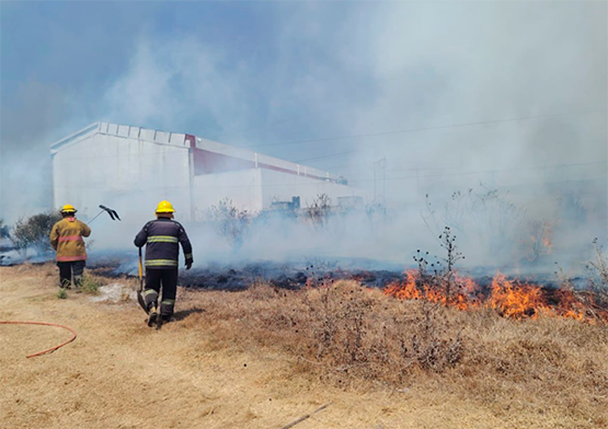 Atienden incendio de pastizal en San Jerónimo Caleras