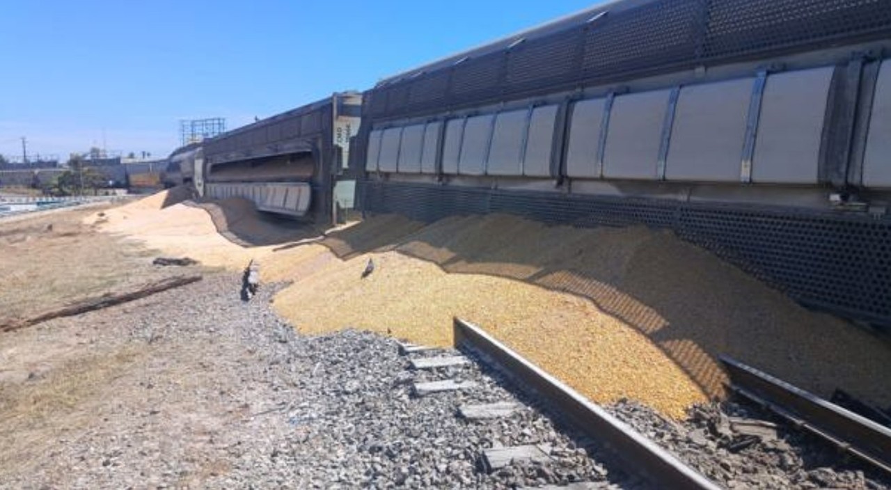 Tren que transportaba granos se descarrilla en Culiacán, Sinaloa