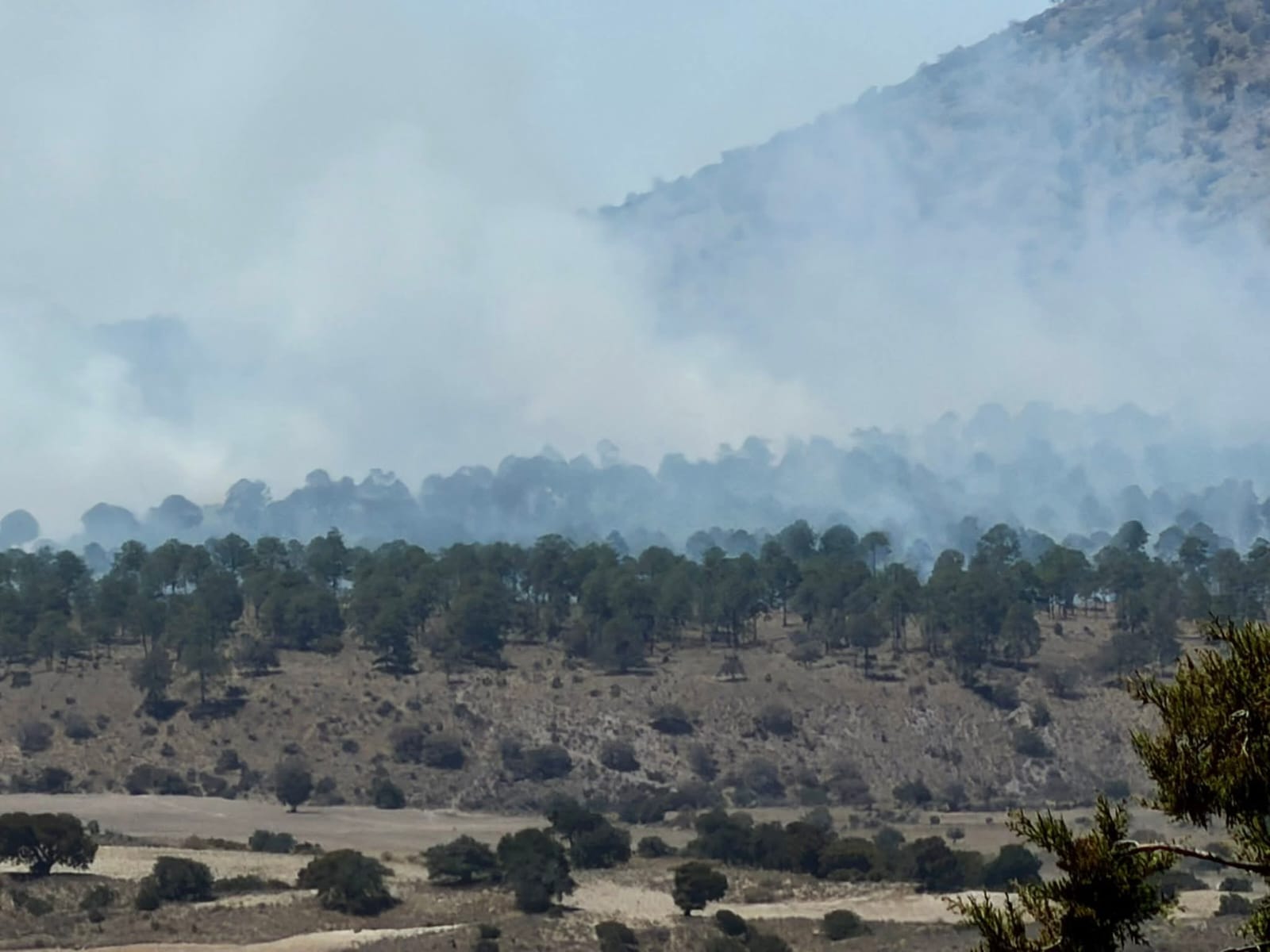 Se registra incendio forestal en la zona de Las Derrumbadas en Tlachichuca