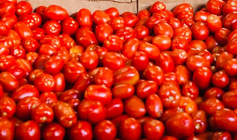 Jitomate alcanza los 50 pesos por kilo en Atlixco