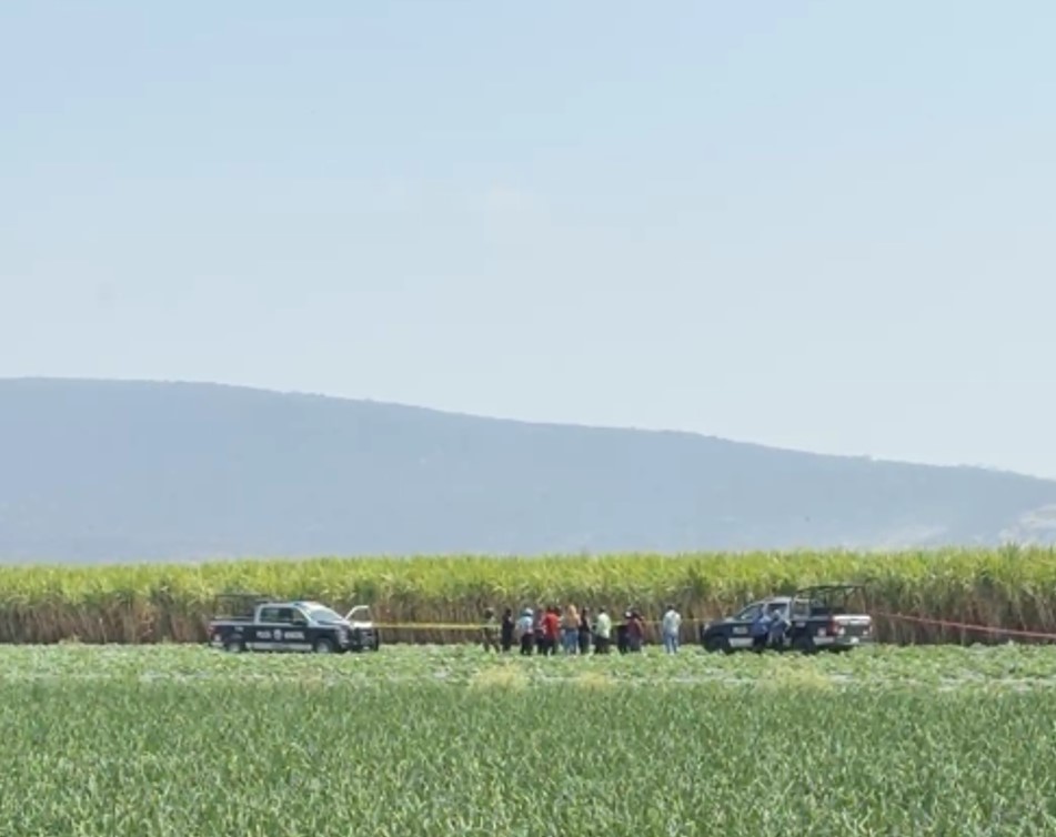 Matan a masculino en campos de cultivo de Izúcar 