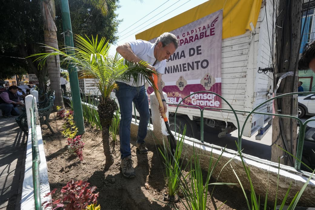 Refuerza gobierno de Pepe Chedraui acciones de reforestación en la capital poblana