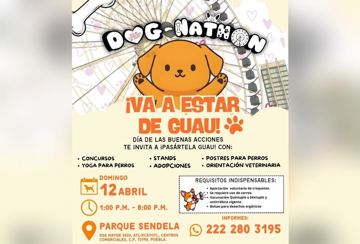 Adopciones, concursos y yoga para perros habrá en el Dog-Nathon 2026 