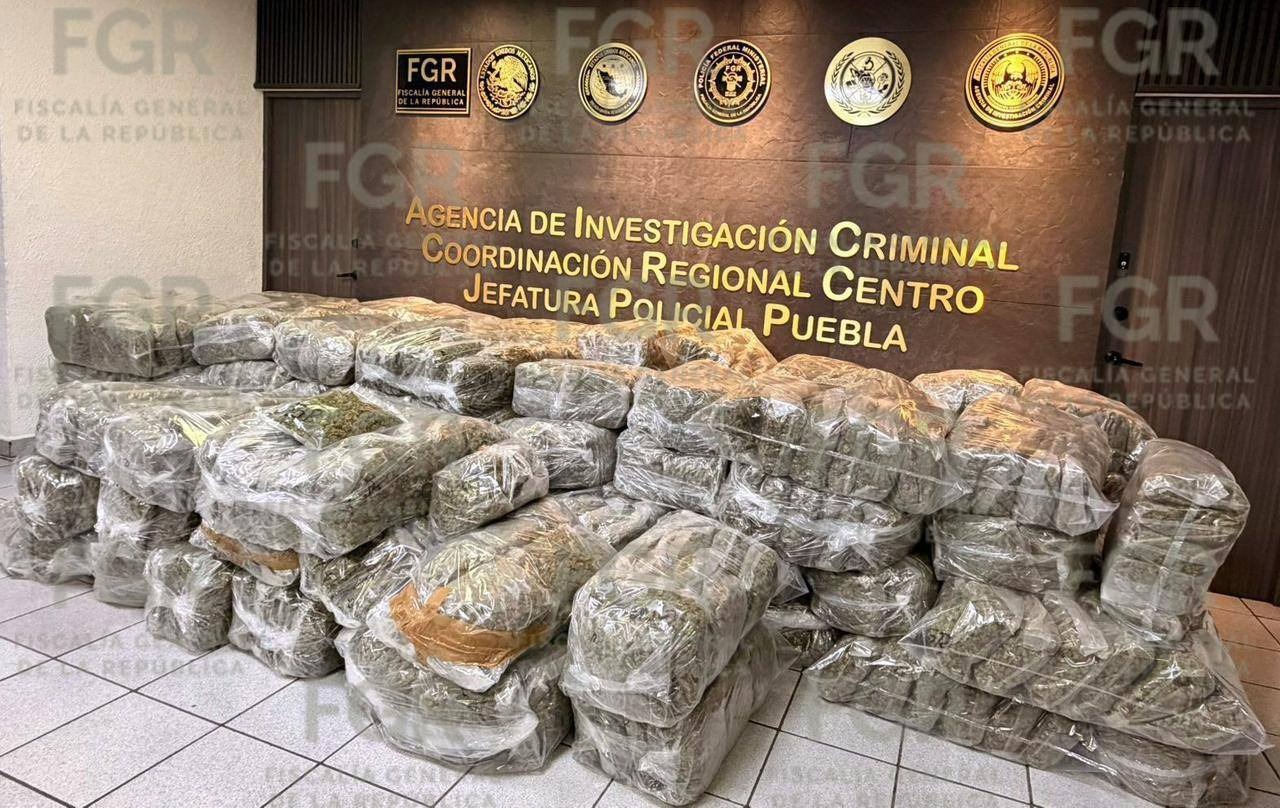 Aseguran más de 600 kilos de marihuana en la Cuacnopalan-Oaxaca; hay un detenido