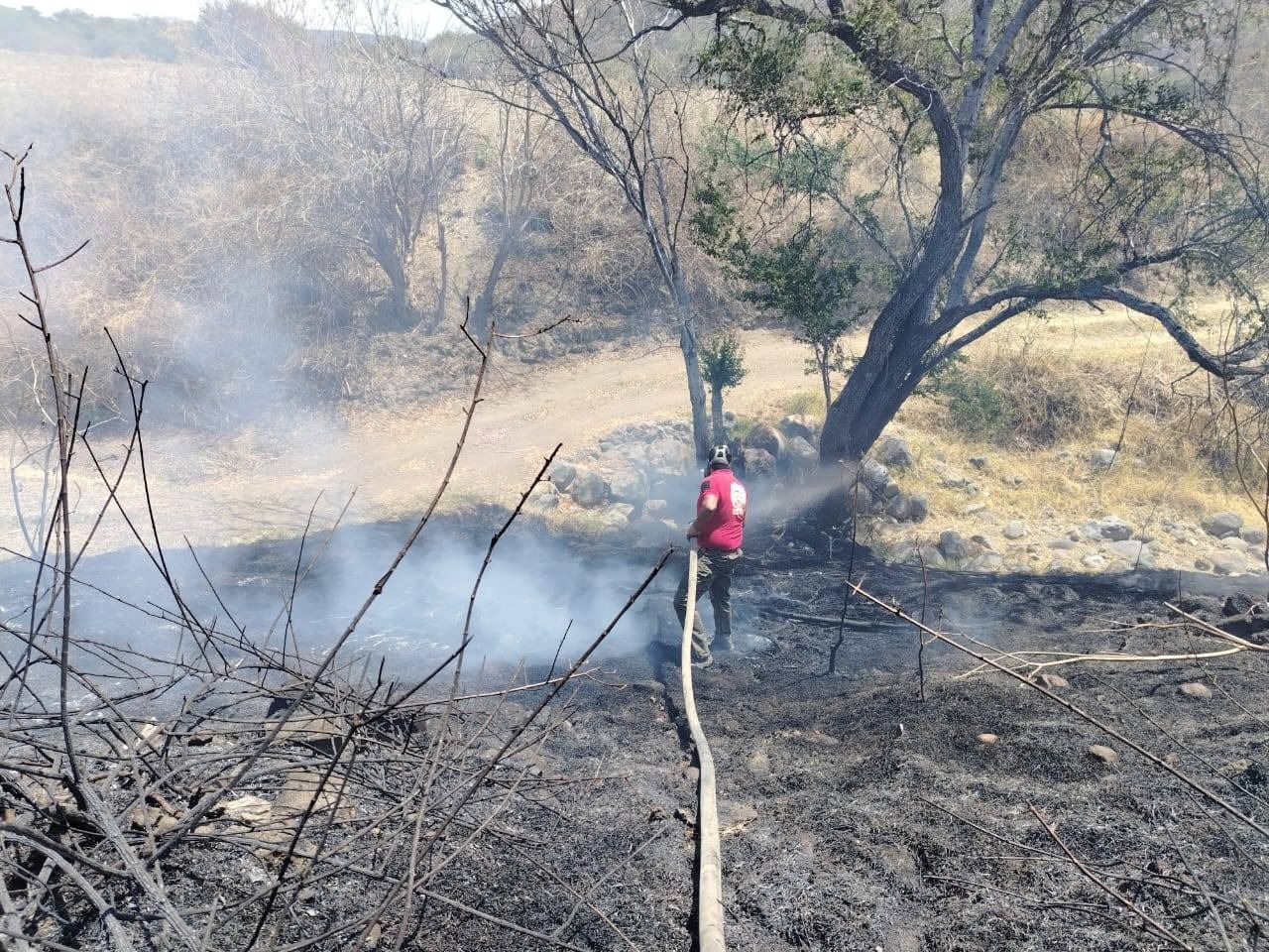 En Huaquechula sofocan hasta 6 incendios en un solo día 