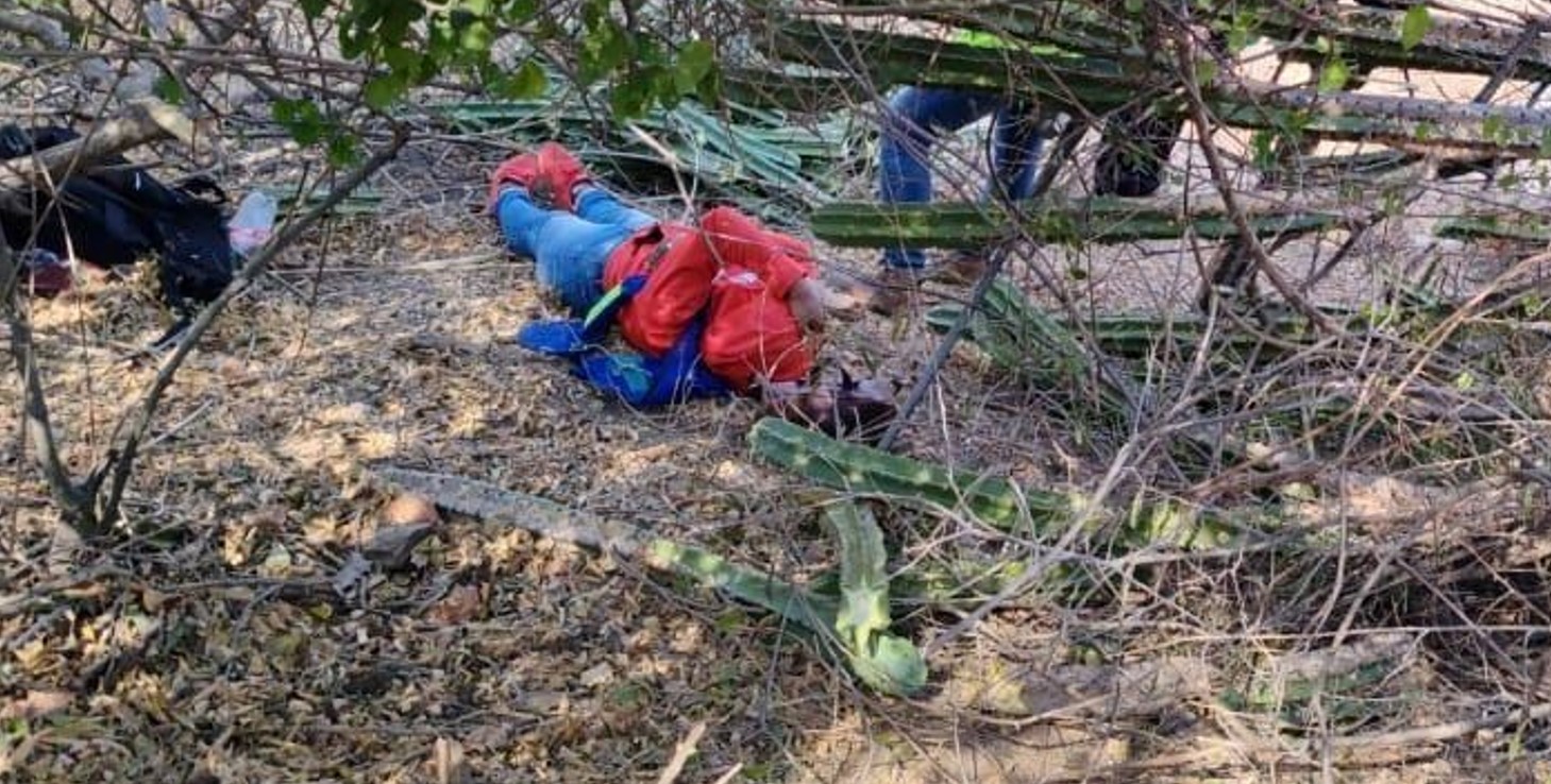 Resulta lesionada por caída de un pitayo en Acatlán; no hubo ambulancia 