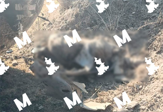 Vuelca vehículo en la México-Puebla tras atropellar a una persona a la altura del Verde