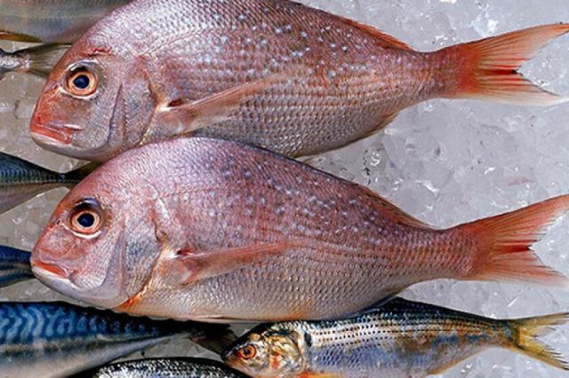 Ventas de pescado en Puebla bajan pese a temporada de Semana Santa
