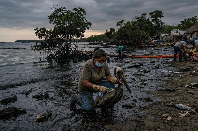 Greenpeace pide acción inmediata ante derrame de petróleo en el Golfo de México