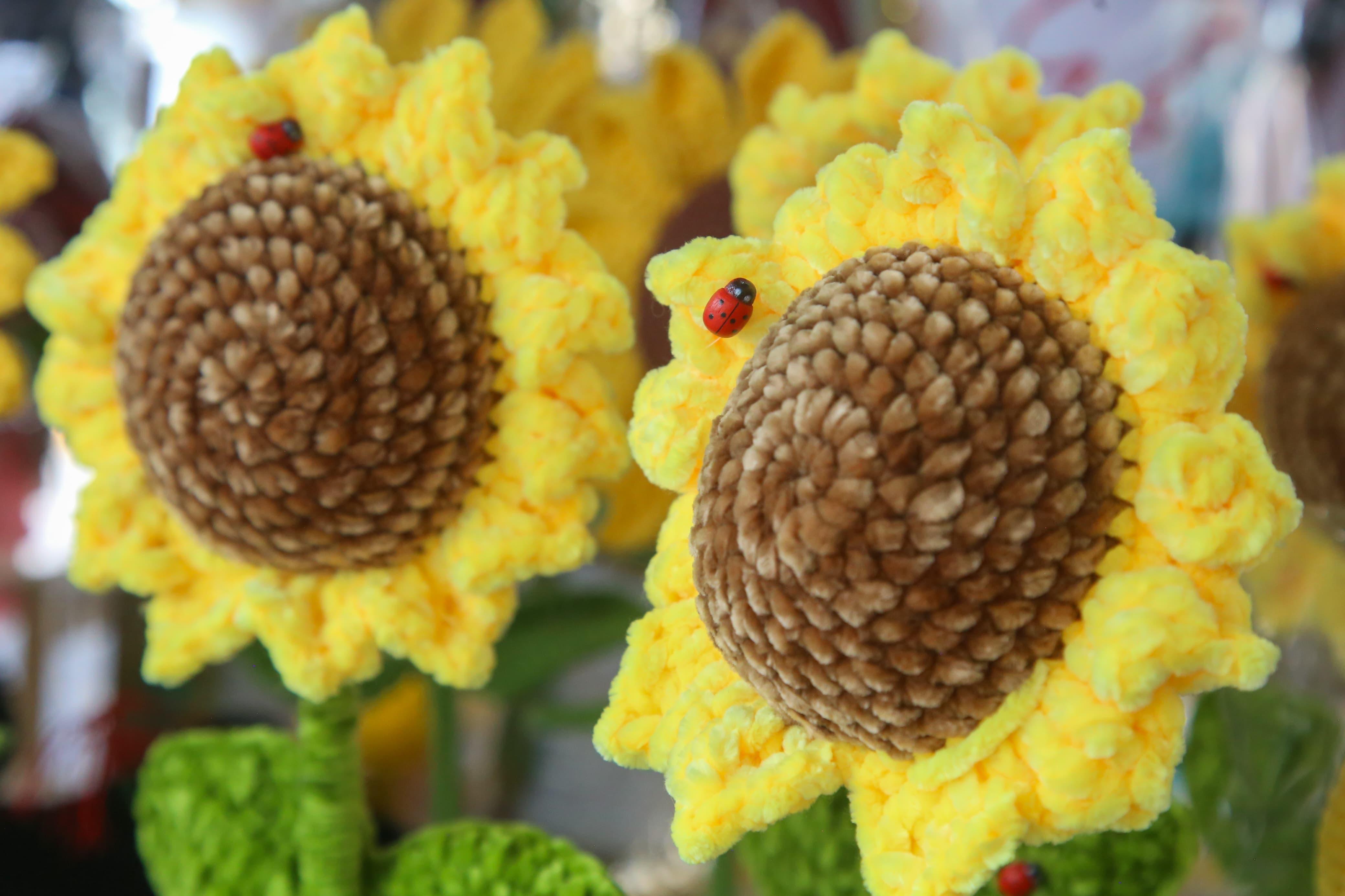 Flores amarillas marcan el inicio de la primavera este 21 de marzo en Tlaxcala