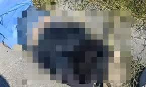 Hallan cuerpo con impactos de bala sobre carretera federal Acatzingo-Xalapa