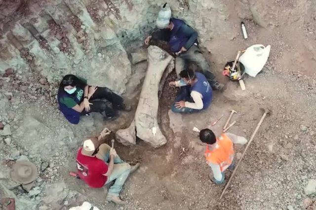 Descubren dinosaurio de 20 metros en Brasil durante obras de infraestructura