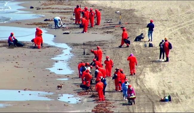 Avanza limpieza en las playas del Golfo de México