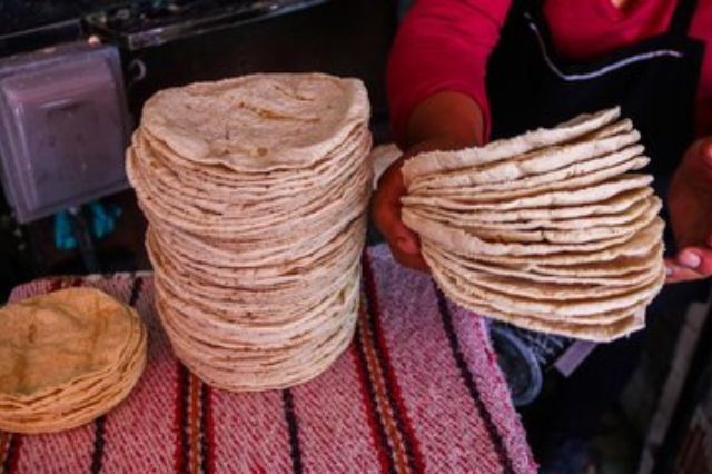 Profeco y Agricultura niegan factores para subir precio de tortilla