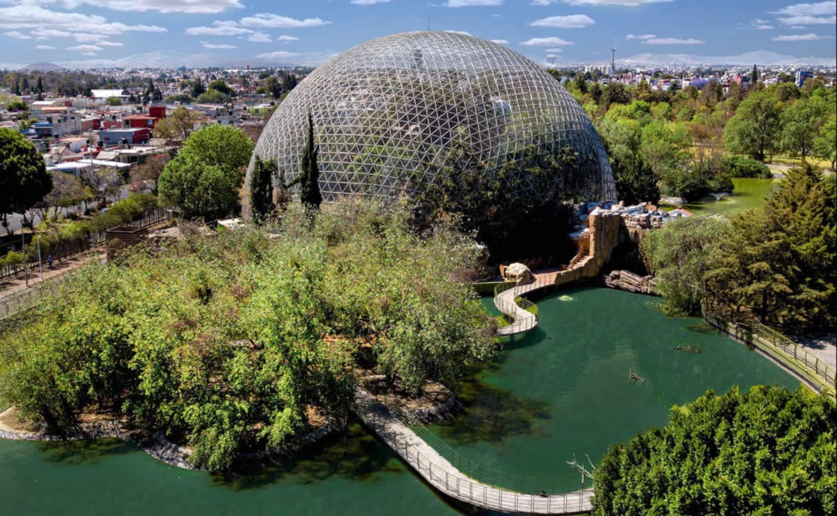 Anuncian la Caminata Saludable 2026 en el Parque Ecológico de Puebla 