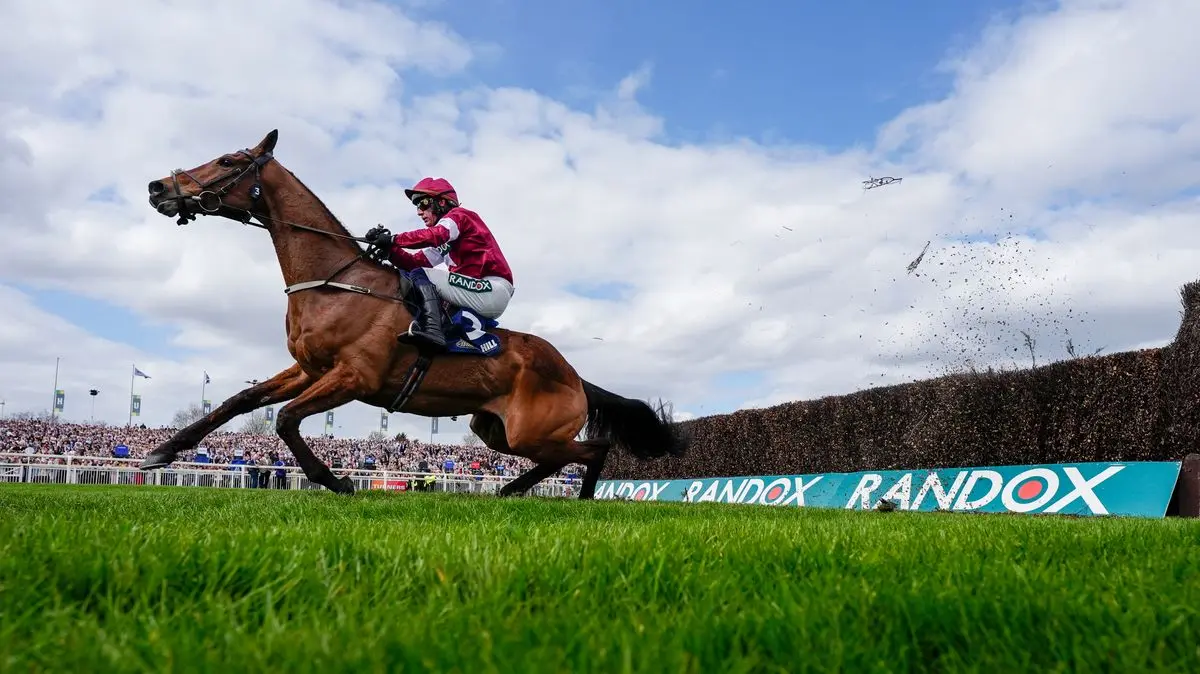 Caballo se fractura la espalda y es sacrificado tras ganar una carrera de obstáculos en Inglaterra