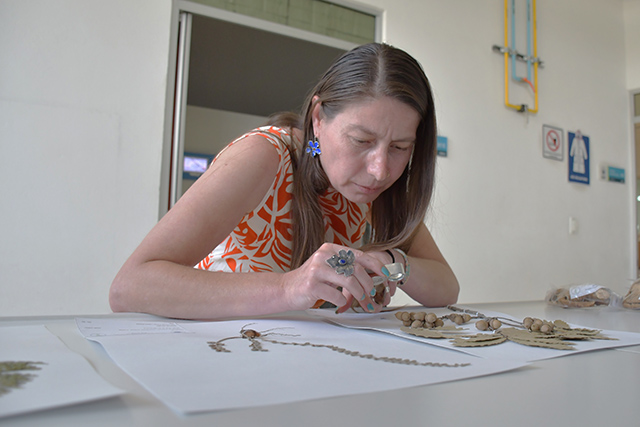Investigadora de la BUAP encabezará la Sociedad Botánica de México para el periodo 2026-2029