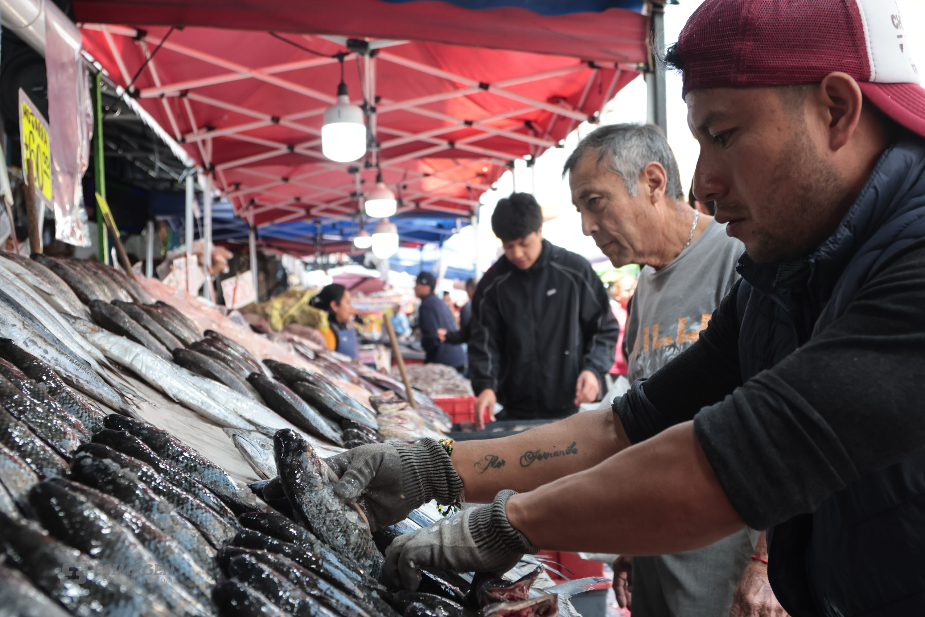 Alertan a cuidar la preparación y conservación de pescados y mariscos