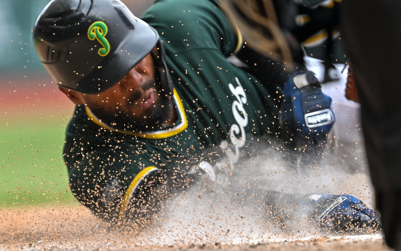 Pericos toma revancha en pretemporada y apalea a los Diablos