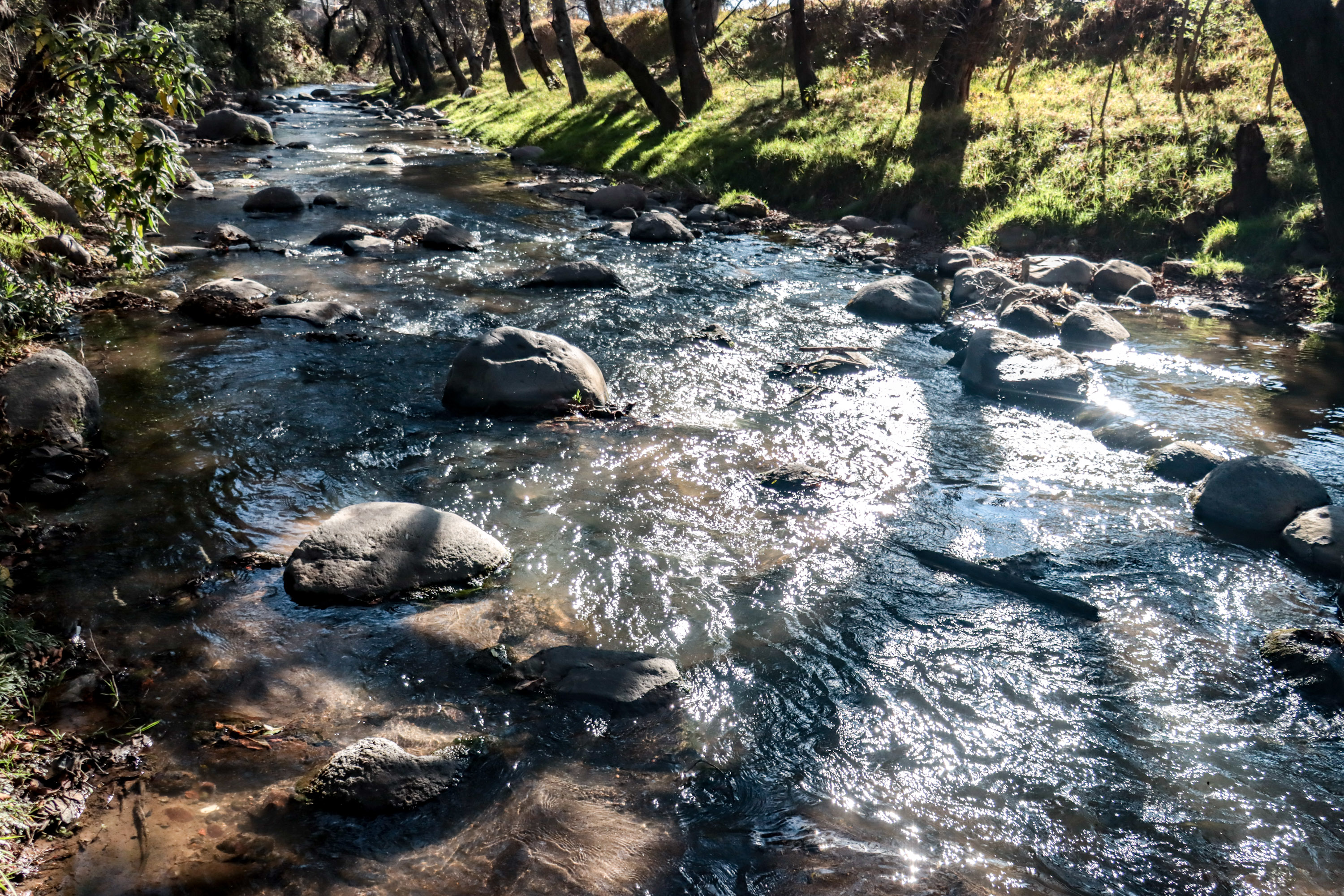 Más de 200 mdp serán destinados al rescate del Atoyac en San Martín Texmelucan