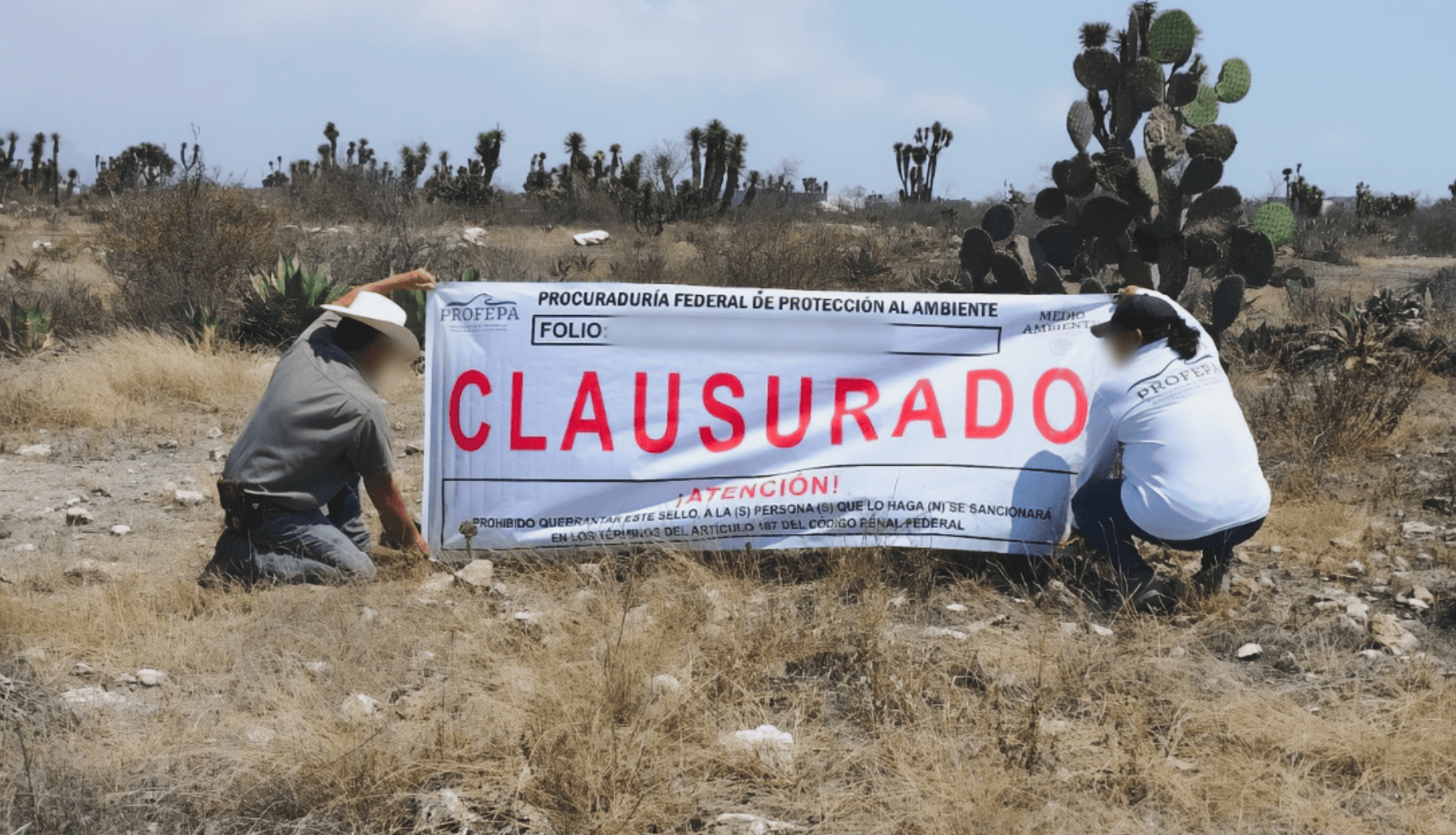 Profepa clausura obras ilegales en la Reserva de la Biosfera Tehuacán-Cuicatlán