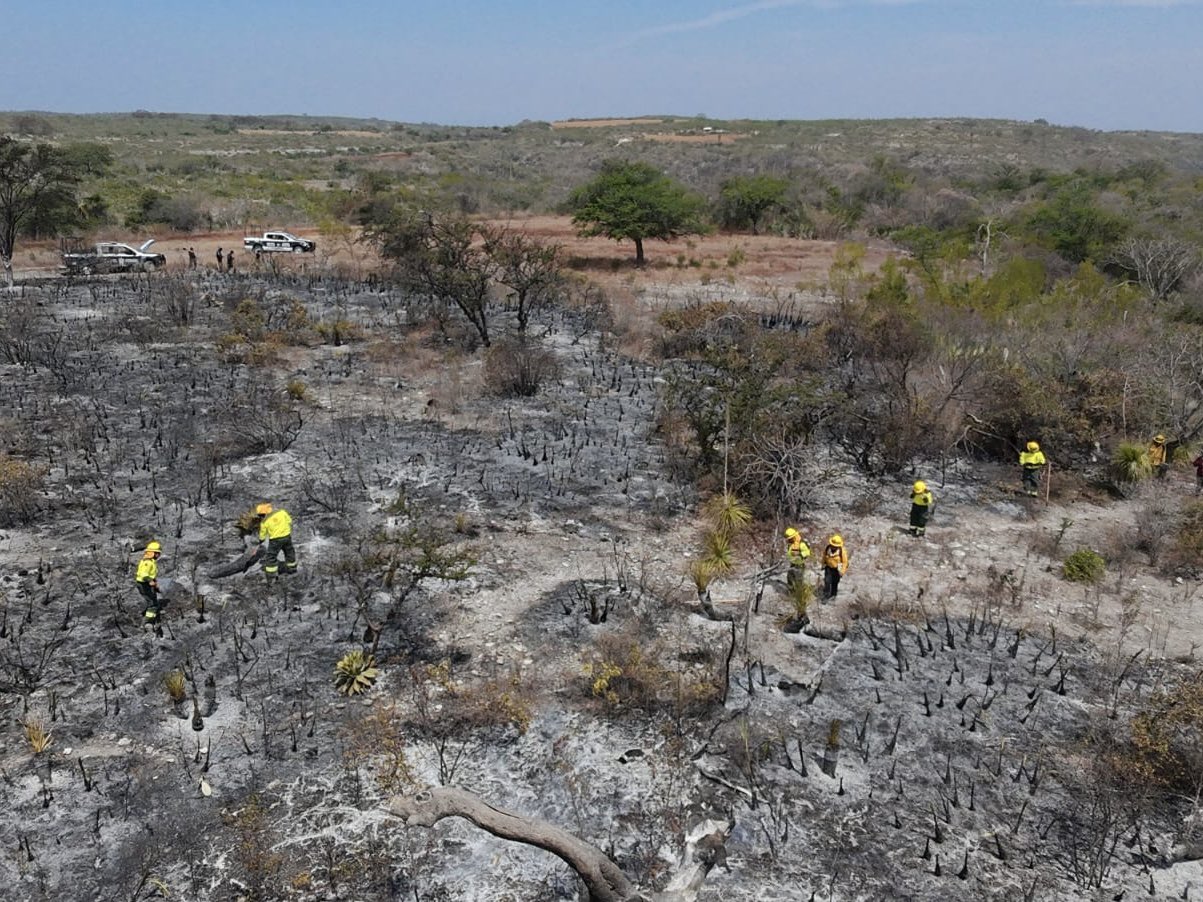 PC de Puebla controla incendios en Santa Inés Ahuatempan y Teotlalco