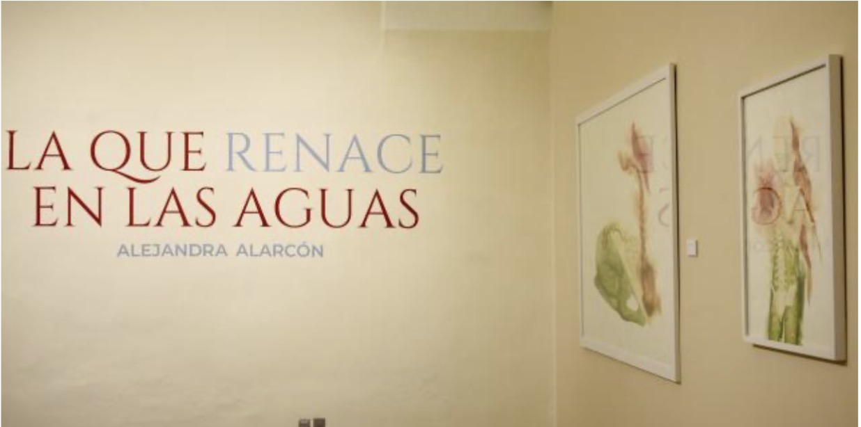 BUAP presenta exposición de Alejandra Alarcón en Edificio Carolino 