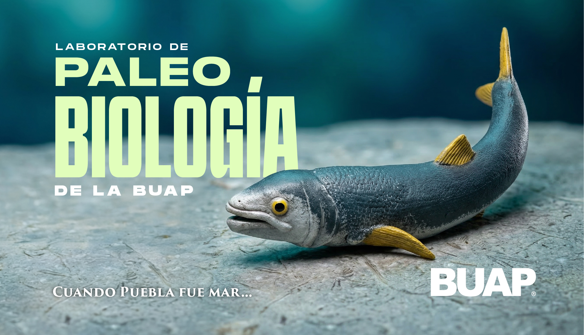 El laboratorio de Paleobiología BUAP evidencia de vida del pasado para interpretar el presente 